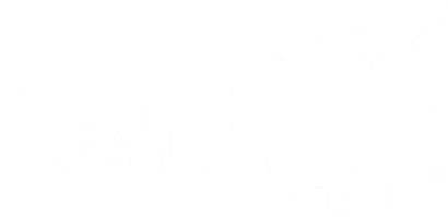 LevelUp Learning